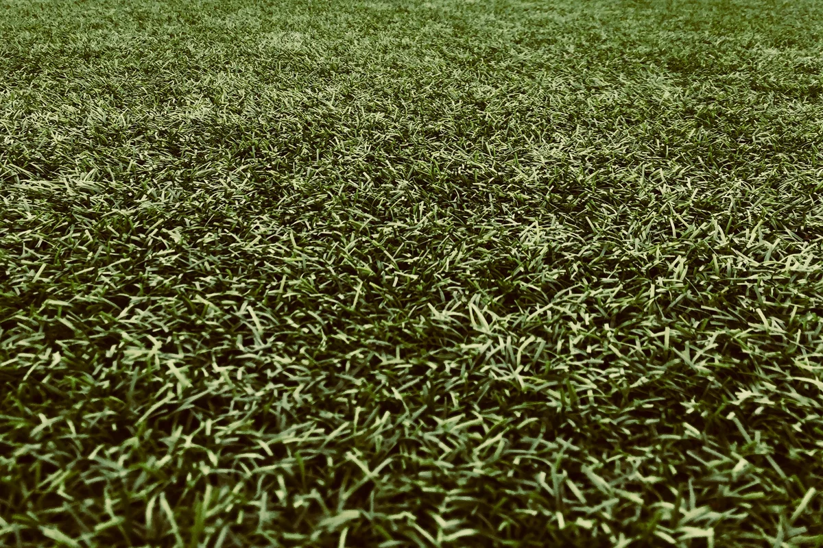 Close-up of artificial grass fibers photographed outdoors