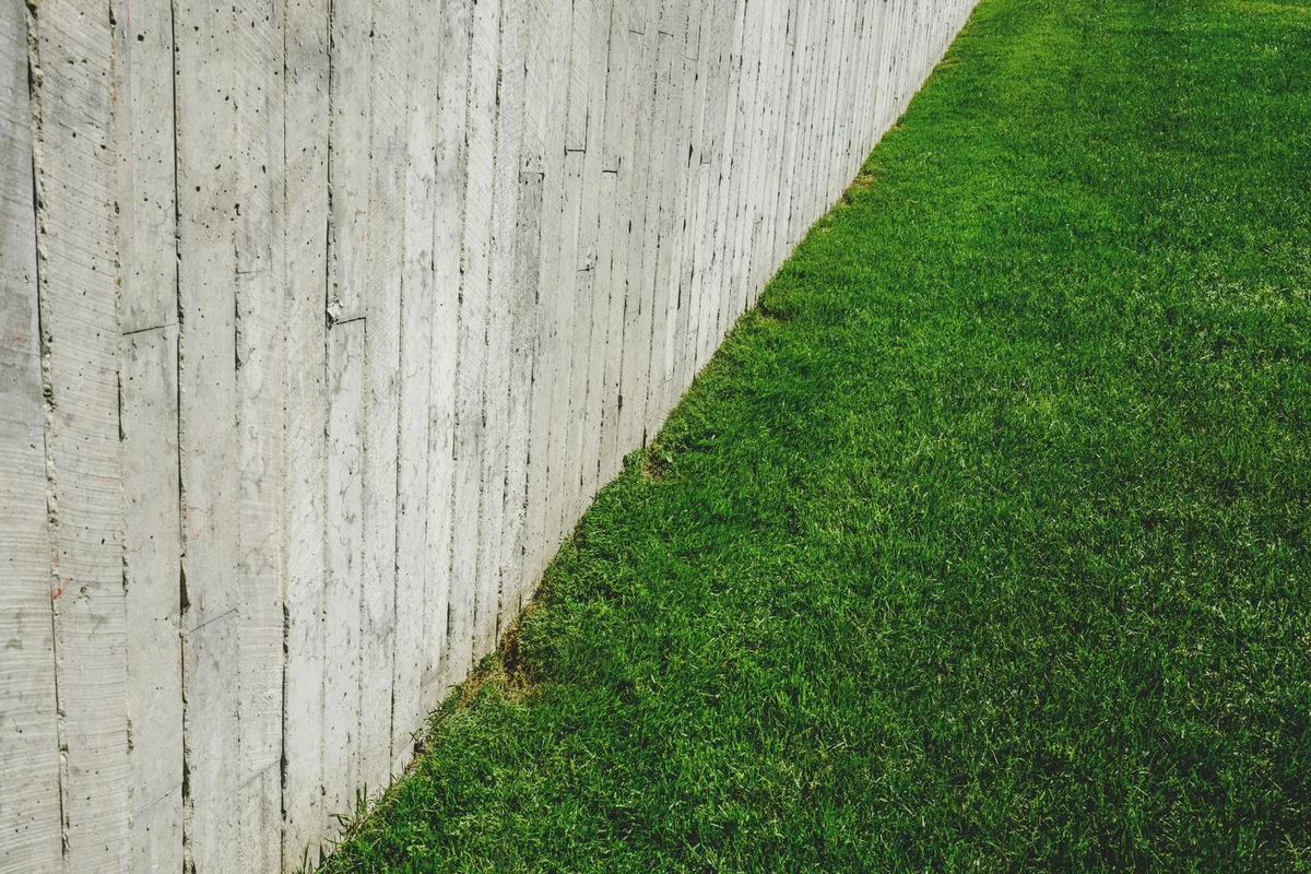 Green lawn growing beside a weathered wooden fence