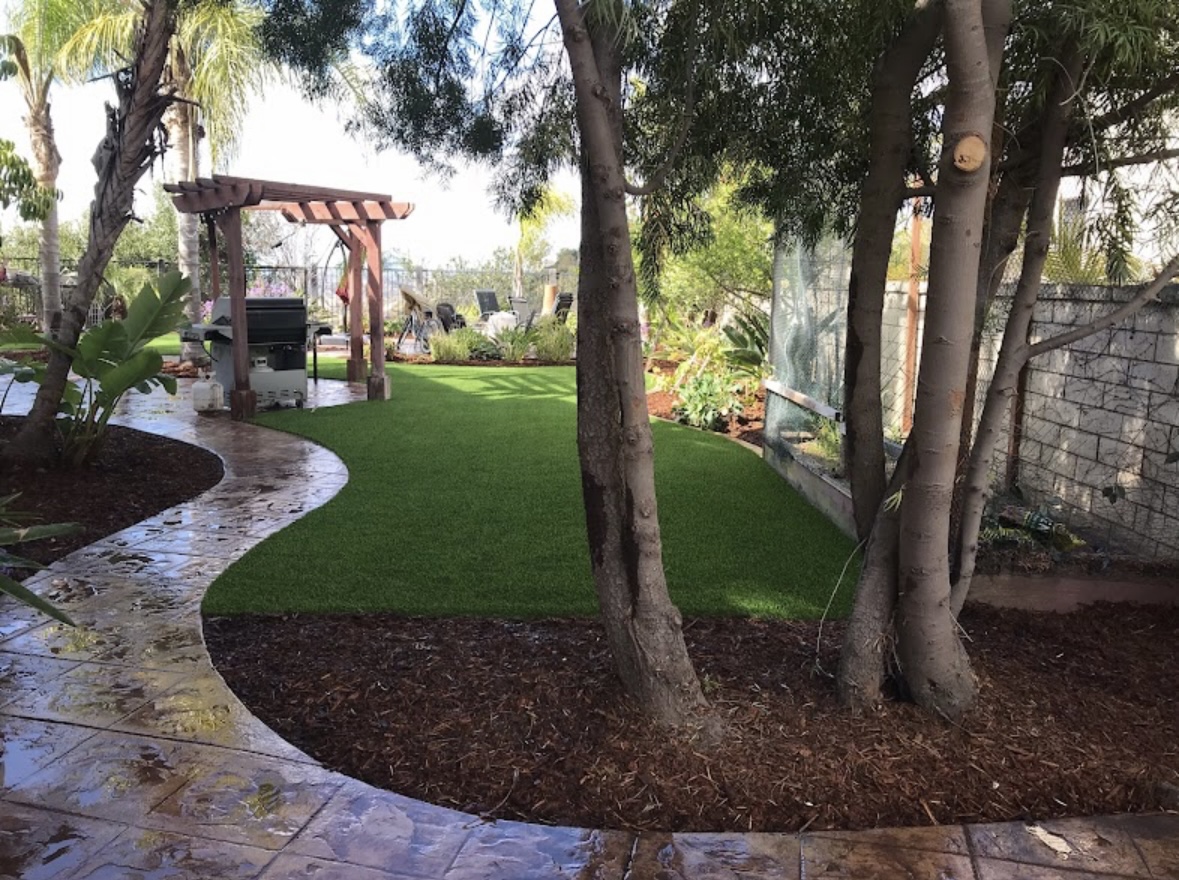 Backyard turf beneath mature trees with a curved stone path
